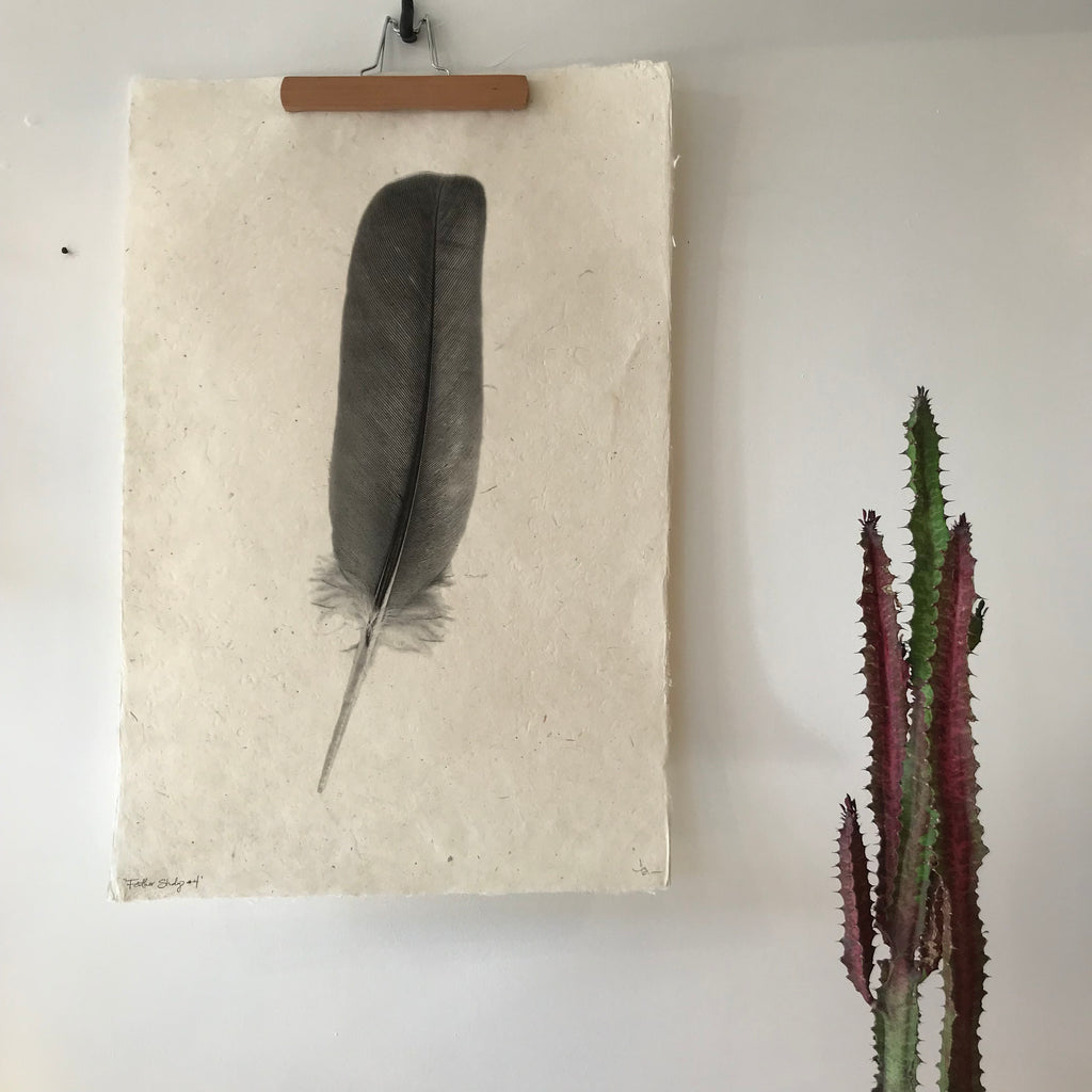 Feather Study Number 4 by Barloga Studios - Upstate MN 