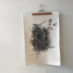 Nest Study Number 1 by Barloga Studios - Upstate MN 
