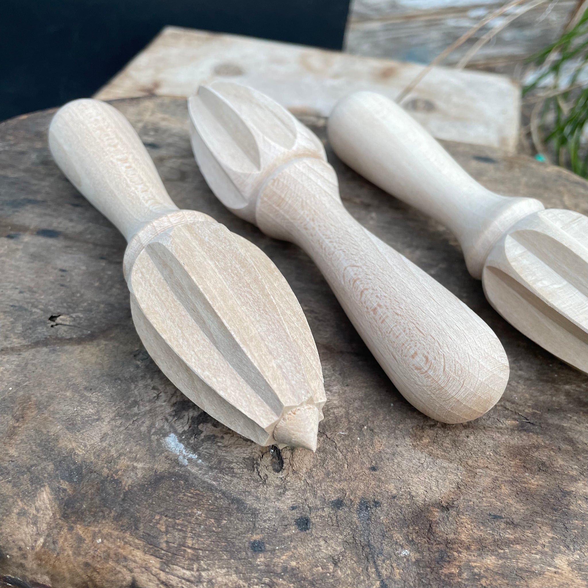 Beechwood Citrus Juicer