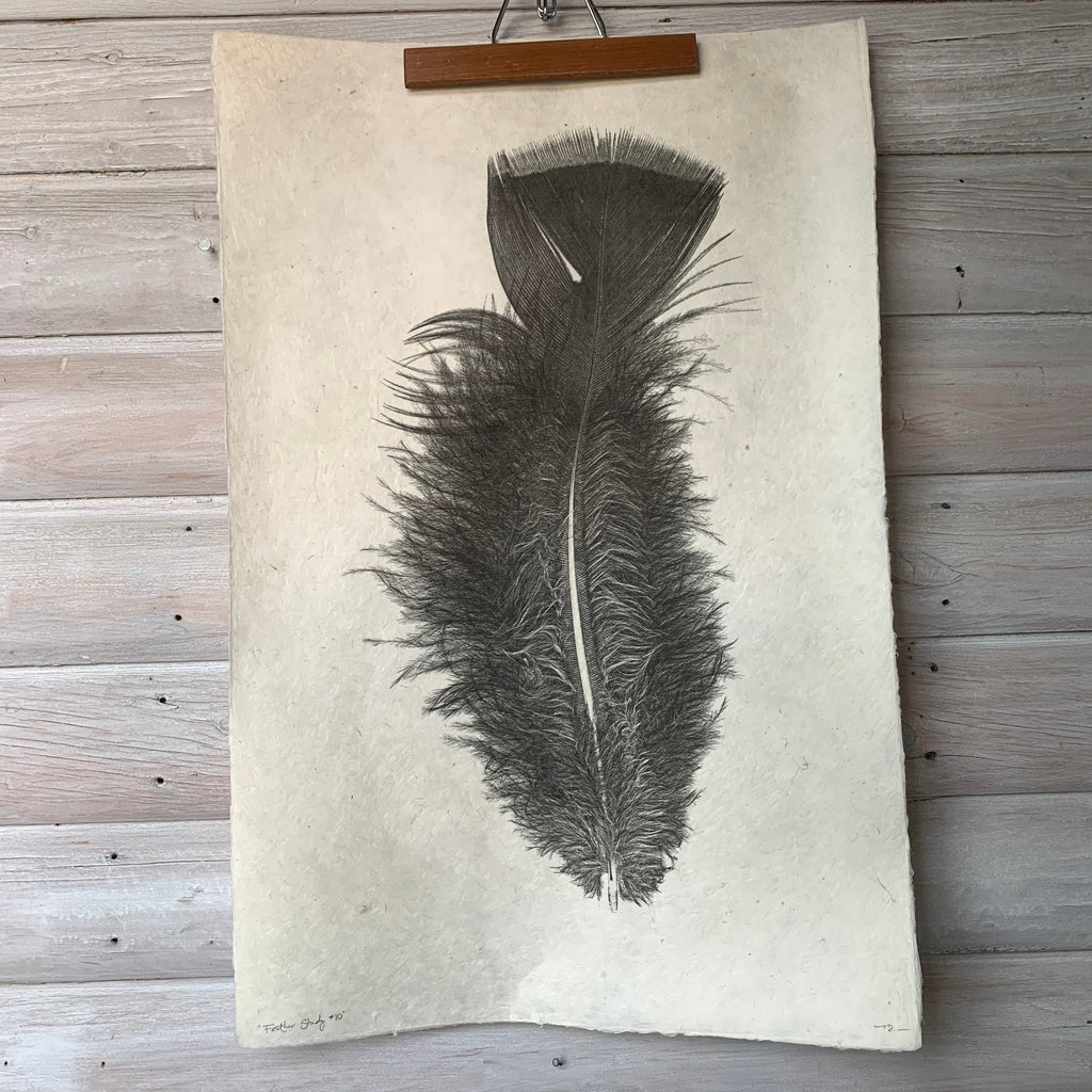 Feather Study Number 10 by Barloga Studios