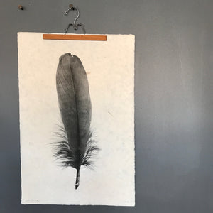 Feather Study Number 6 by Barloga Studios - Upstate MN 