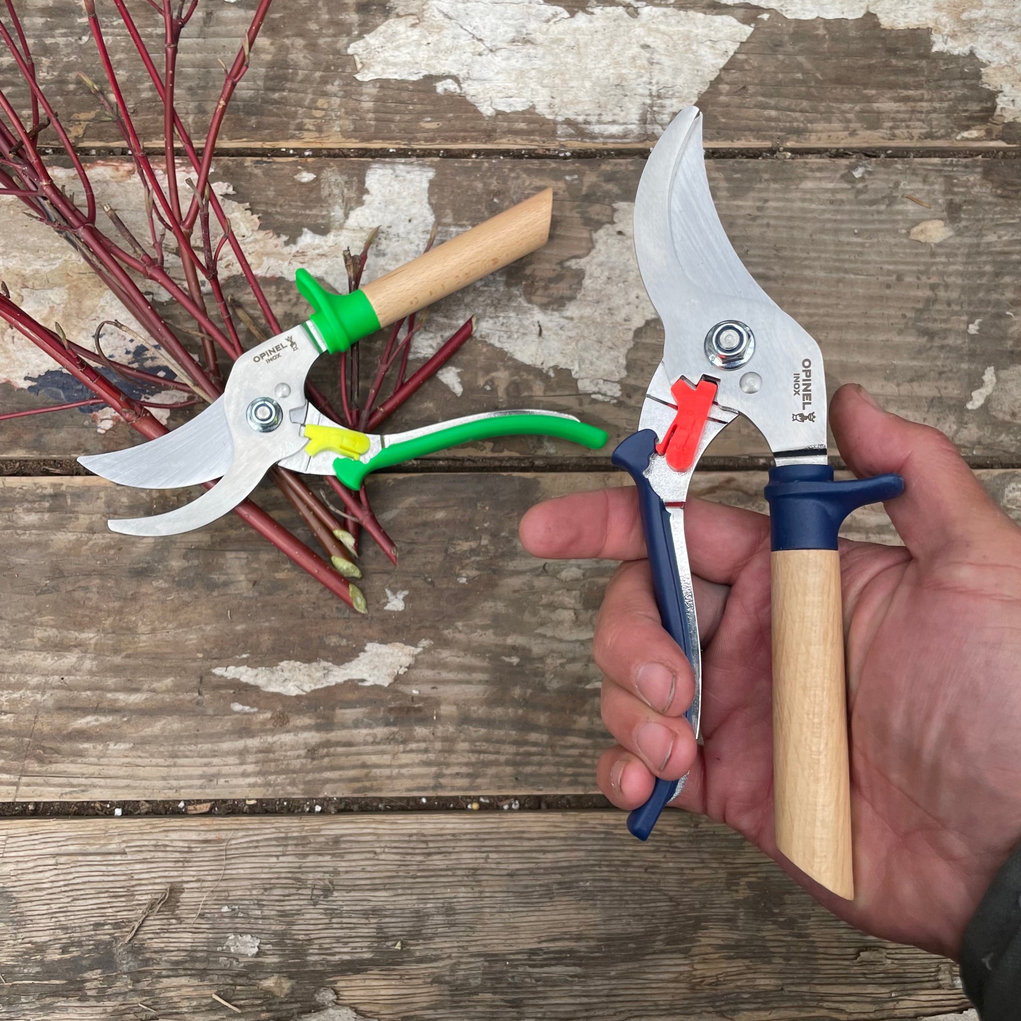 Opinel  Hand Pruners - OPINEL USA