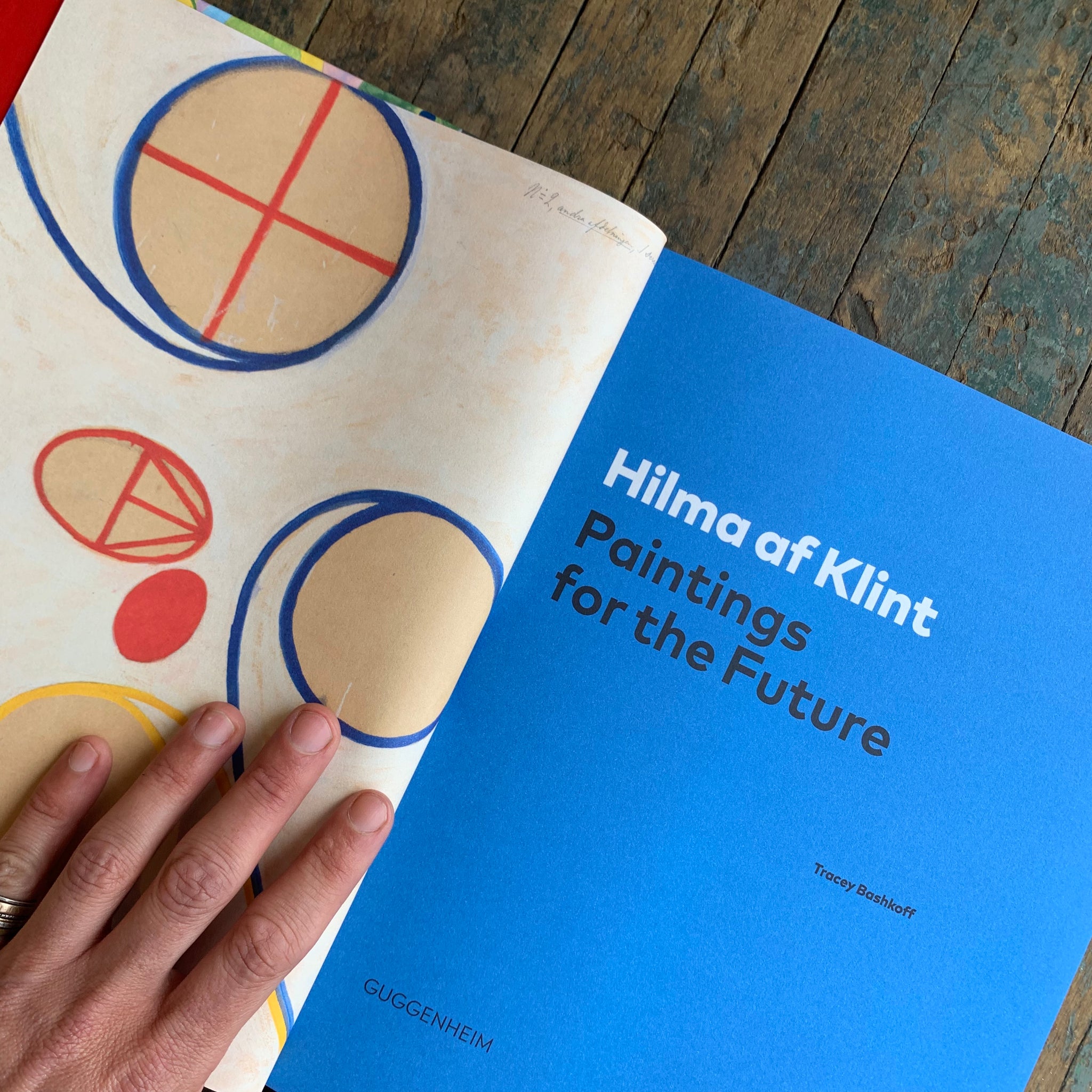 HILMA af KLINT Paintings for the Future - Upstate MN 