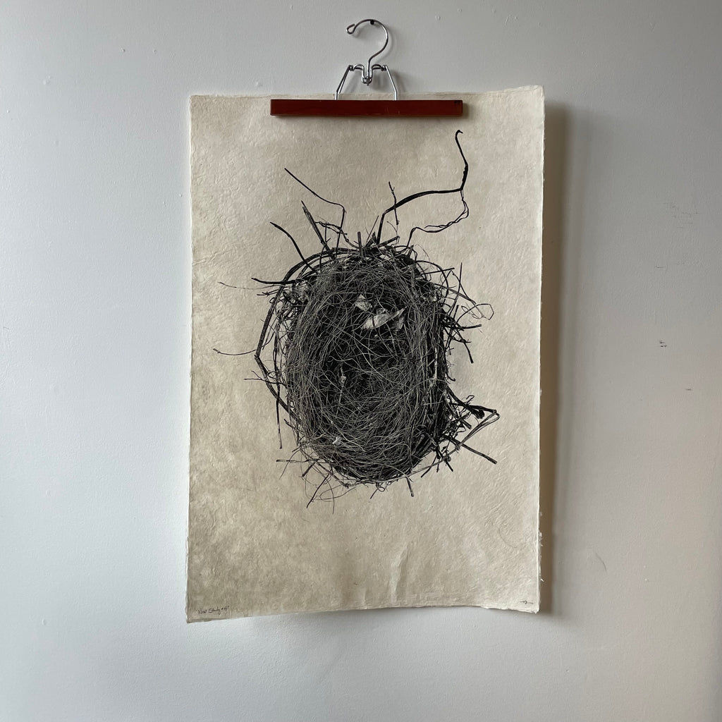 Nest Study Number 4 by Barloga Studios