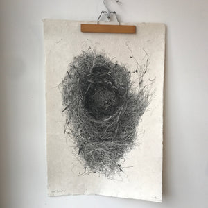 Nest Study Number 6 by Barloga Studios - Upstate MN 