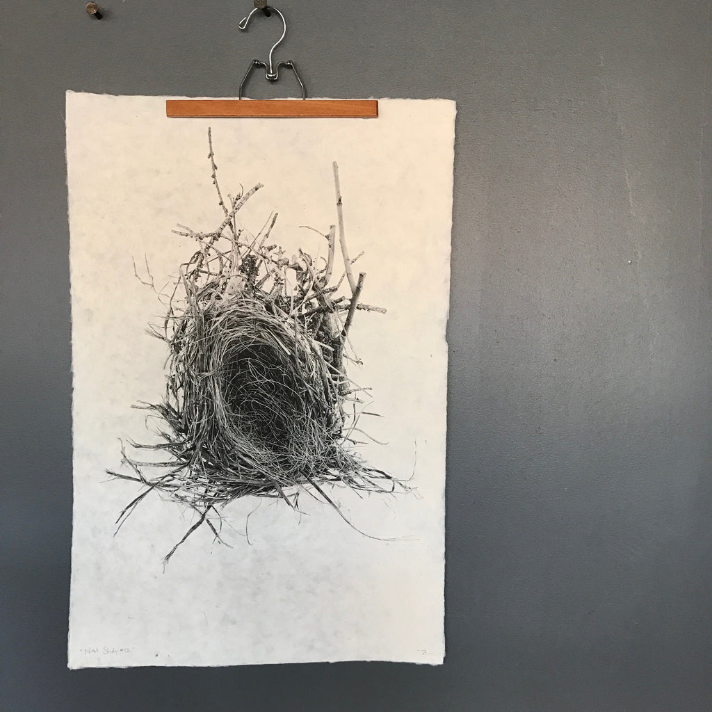 Nest Study Number 12 by Barloga Studios - Upstate MN 