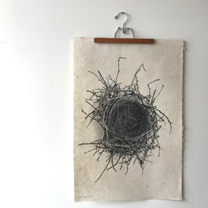 Nest Study Number 2 by Barloga Studios - Upstate MN 