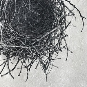 Nest Study Number 2 by Barloga Studios - Upstate MN 