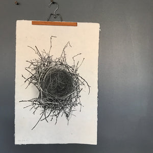Nest Study Number 2 by Barloga Studios - Upstate MN 