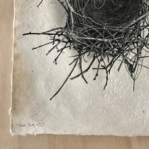 Nest Study Number 2 by Barloga Studios - Upstate MN 