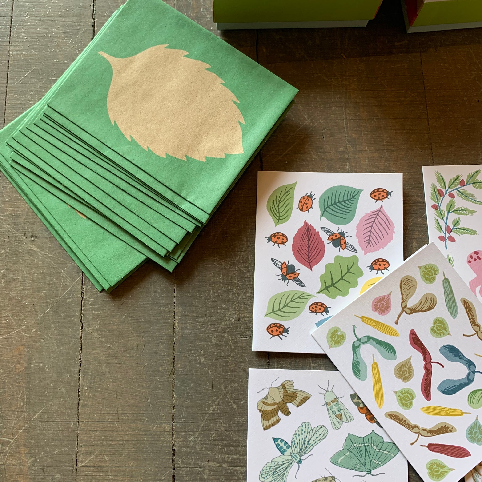 New Leaf Notecards by Sukie - Upstate MN 