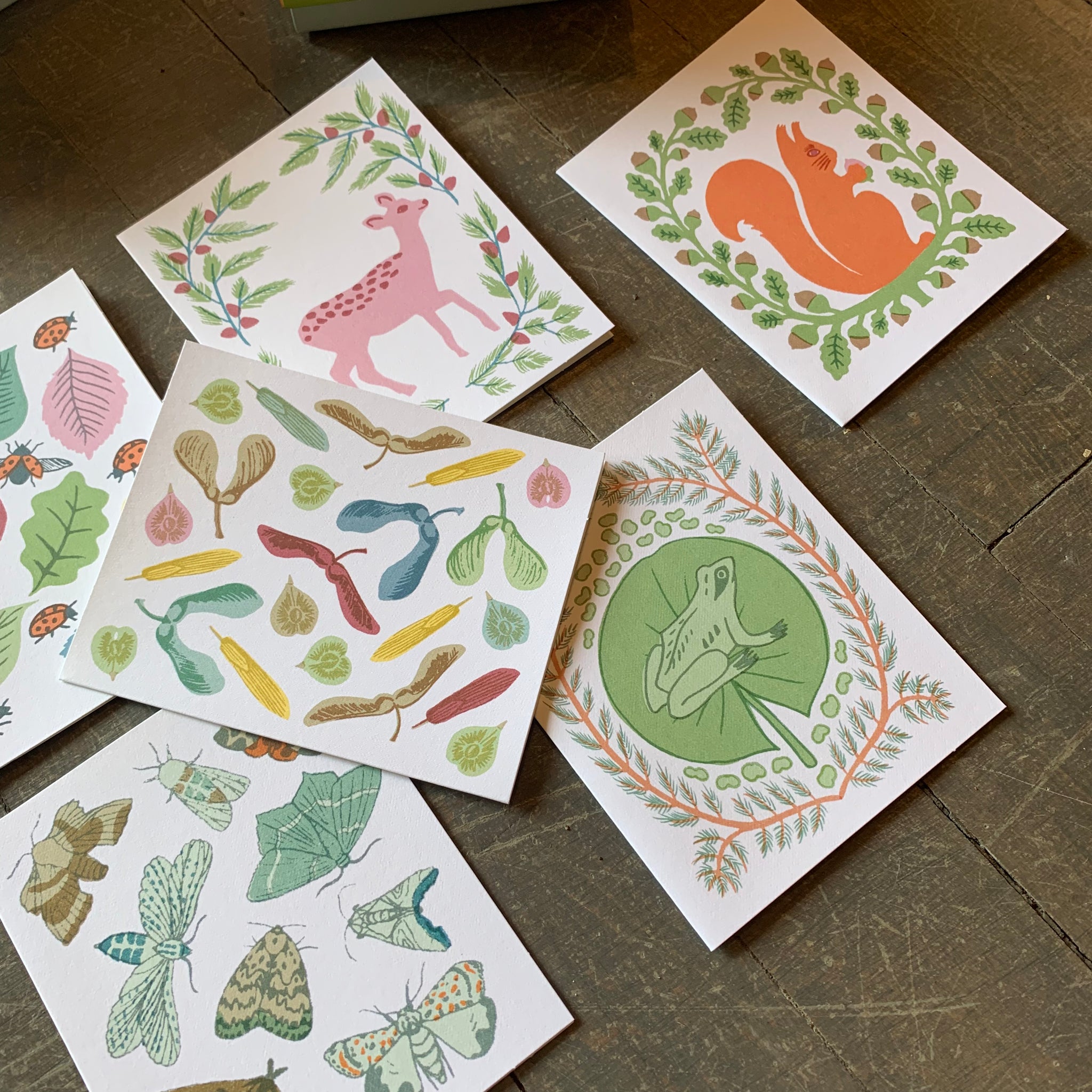 New Leaf Notecards by Sukie - Upstate MN 