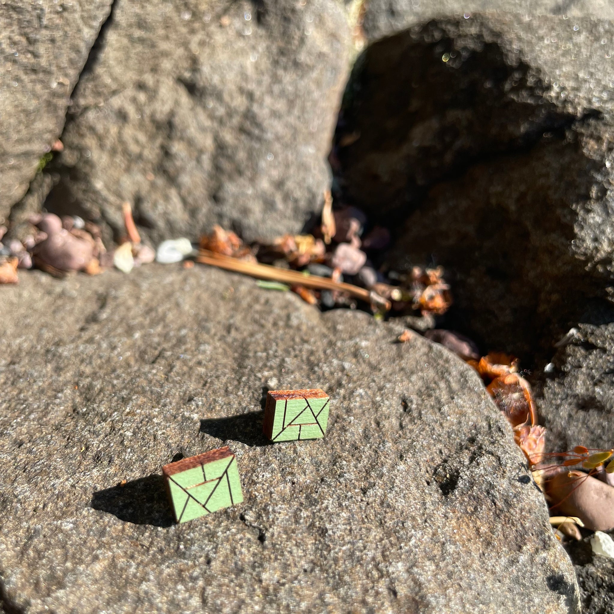 Rectangle Wooden Stud Earrings by Bird of Virtue