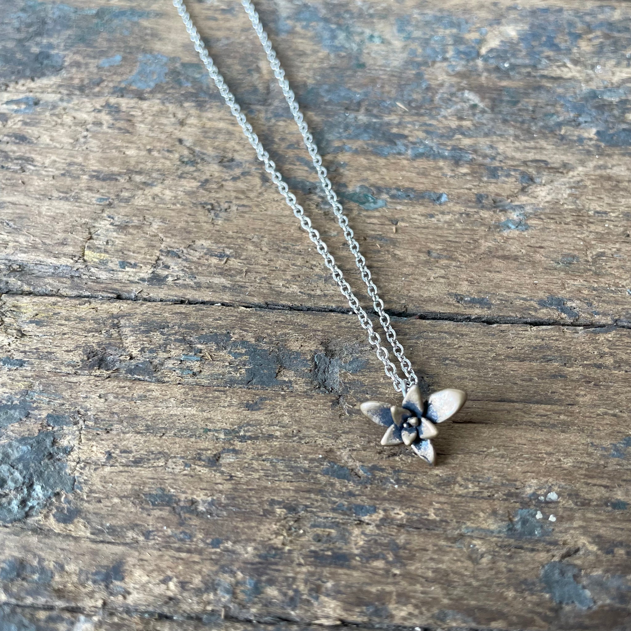 Succulent Necklace in Bronze by Tree Trunk Arts