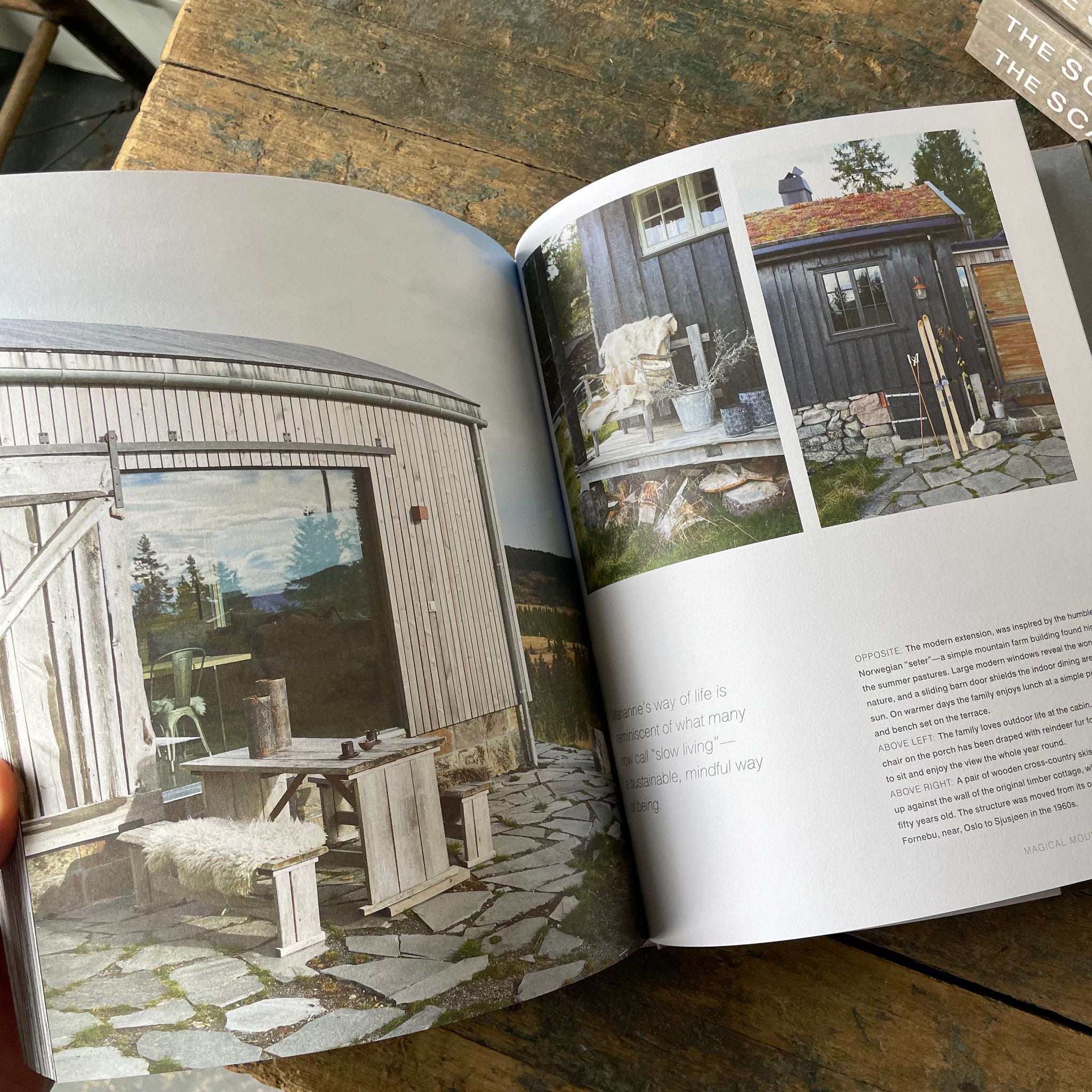The Scandinavian Home
