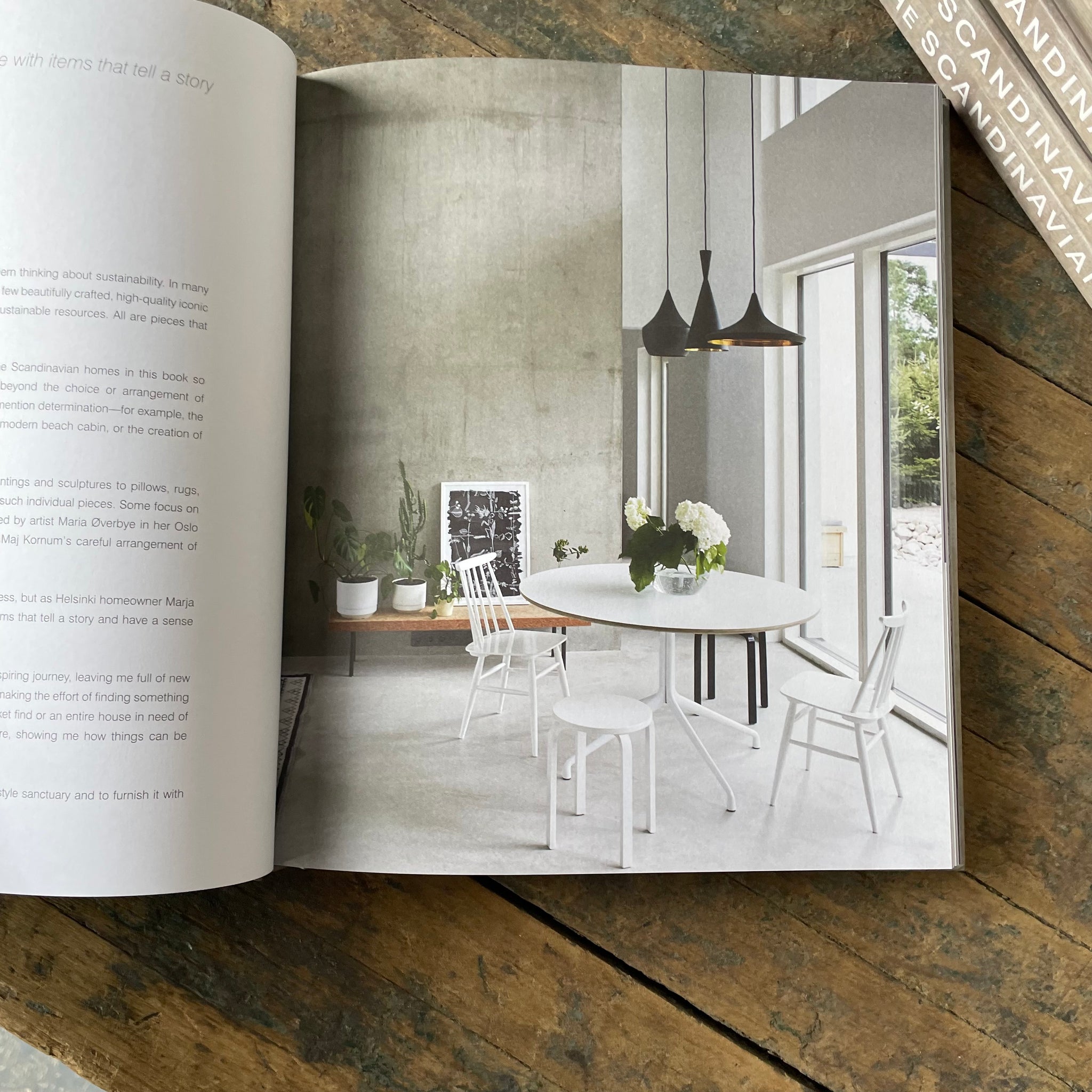 The Scandinavian Home