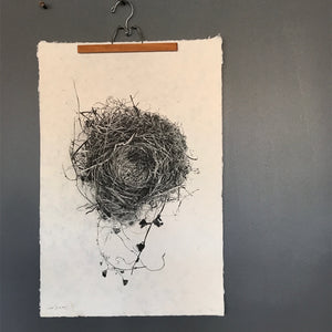 Nest Study Number 3 by Barloga Studios - Upstate MN 