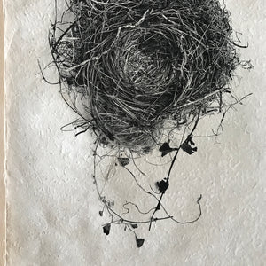 Nest Study Number 3 by Barloga Studios - Upstate MN 